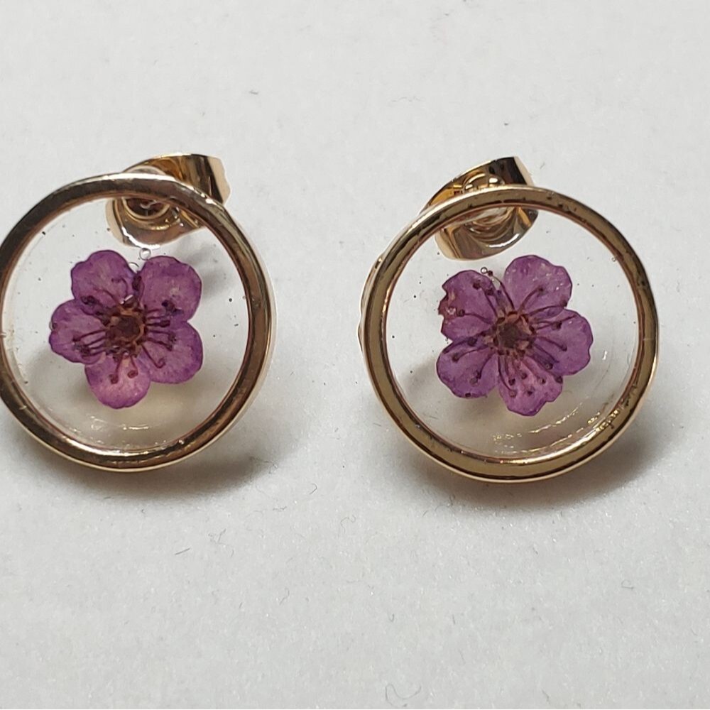 Earrings Rose Gold Color Circle w/ Dried Purple Fl